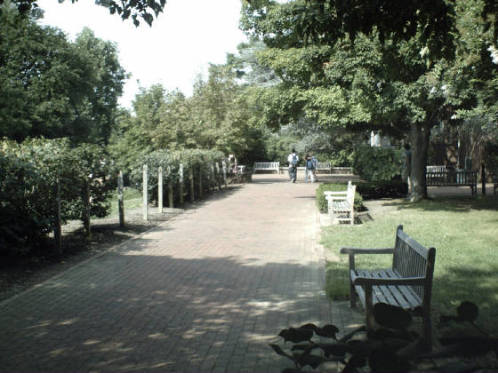 sunp0001.jpg