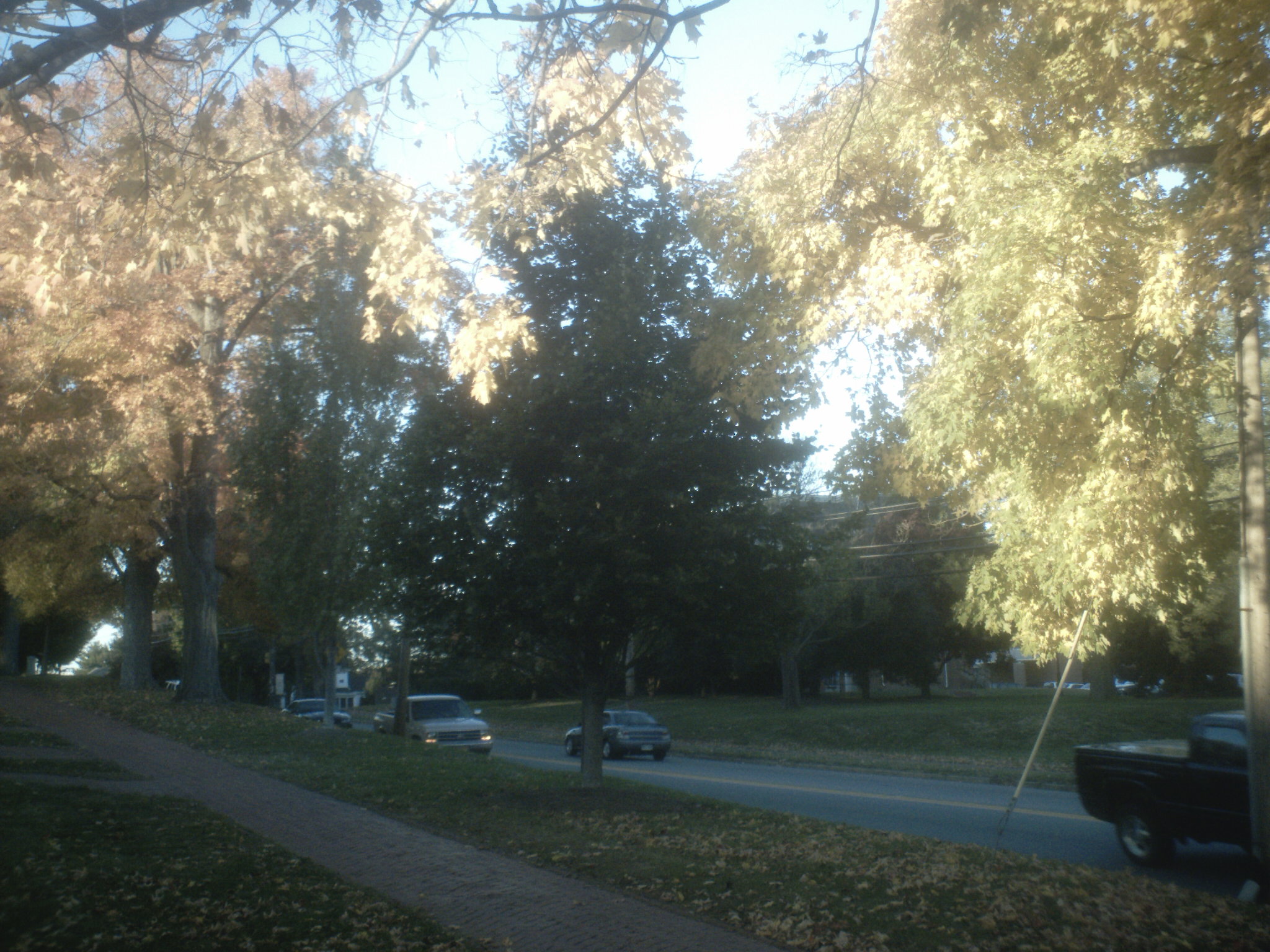 sunp0105.jpg