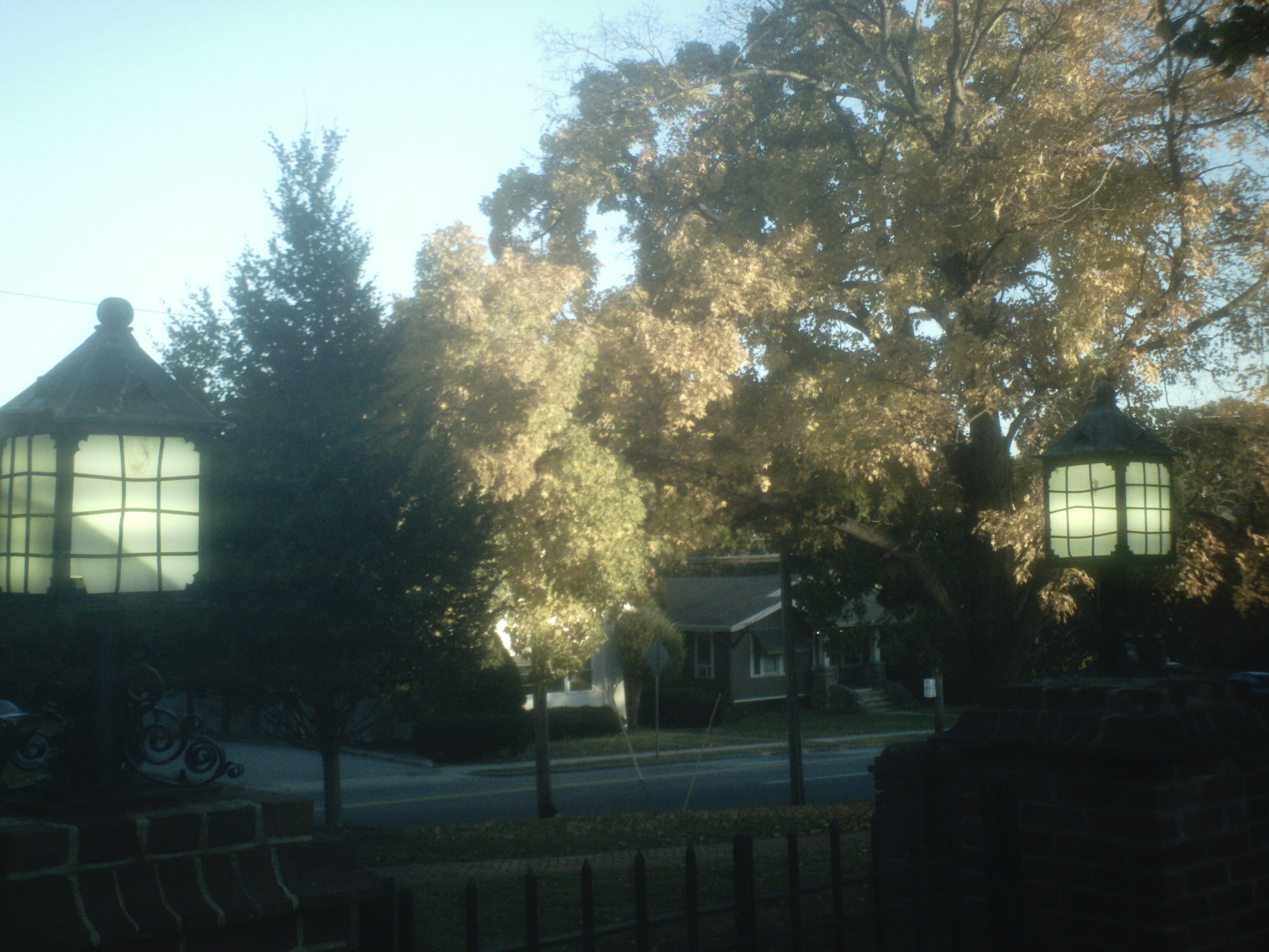 sunp0109.jpg