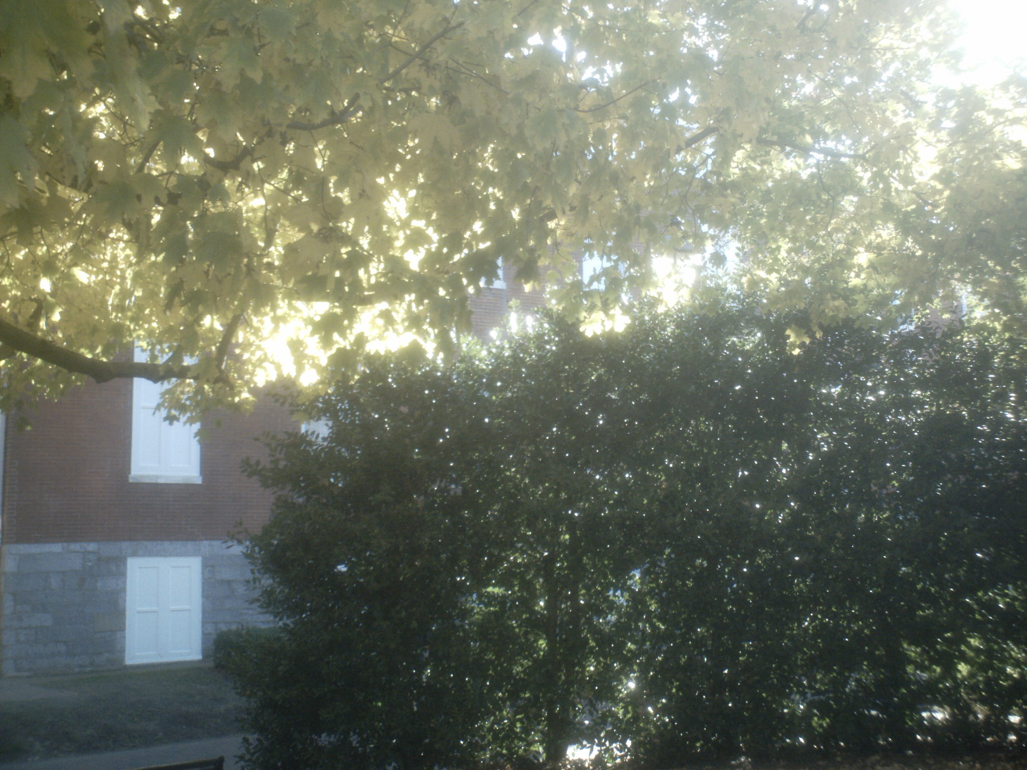 sunp1001.jpg
