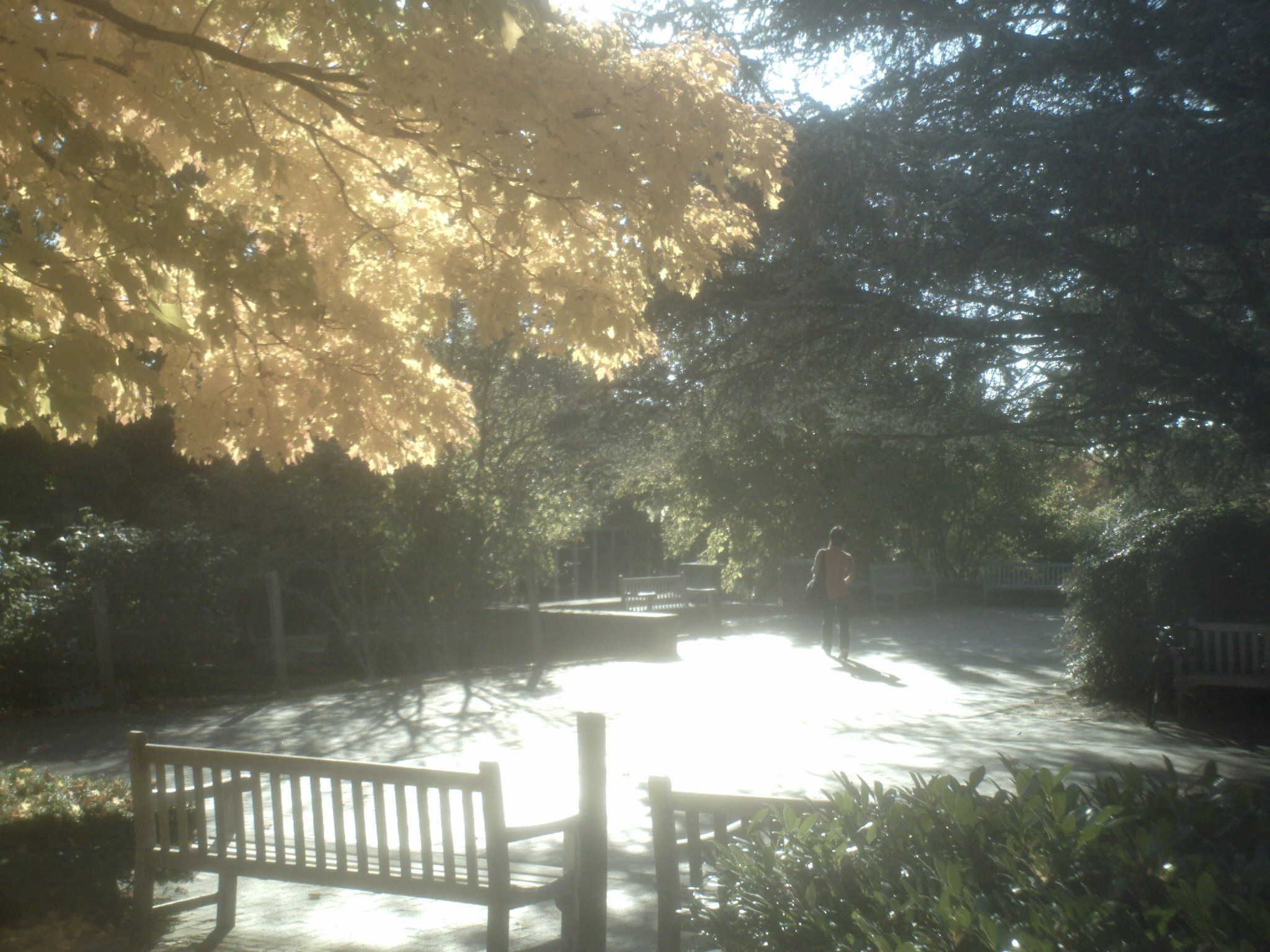 sunp1004.jpg