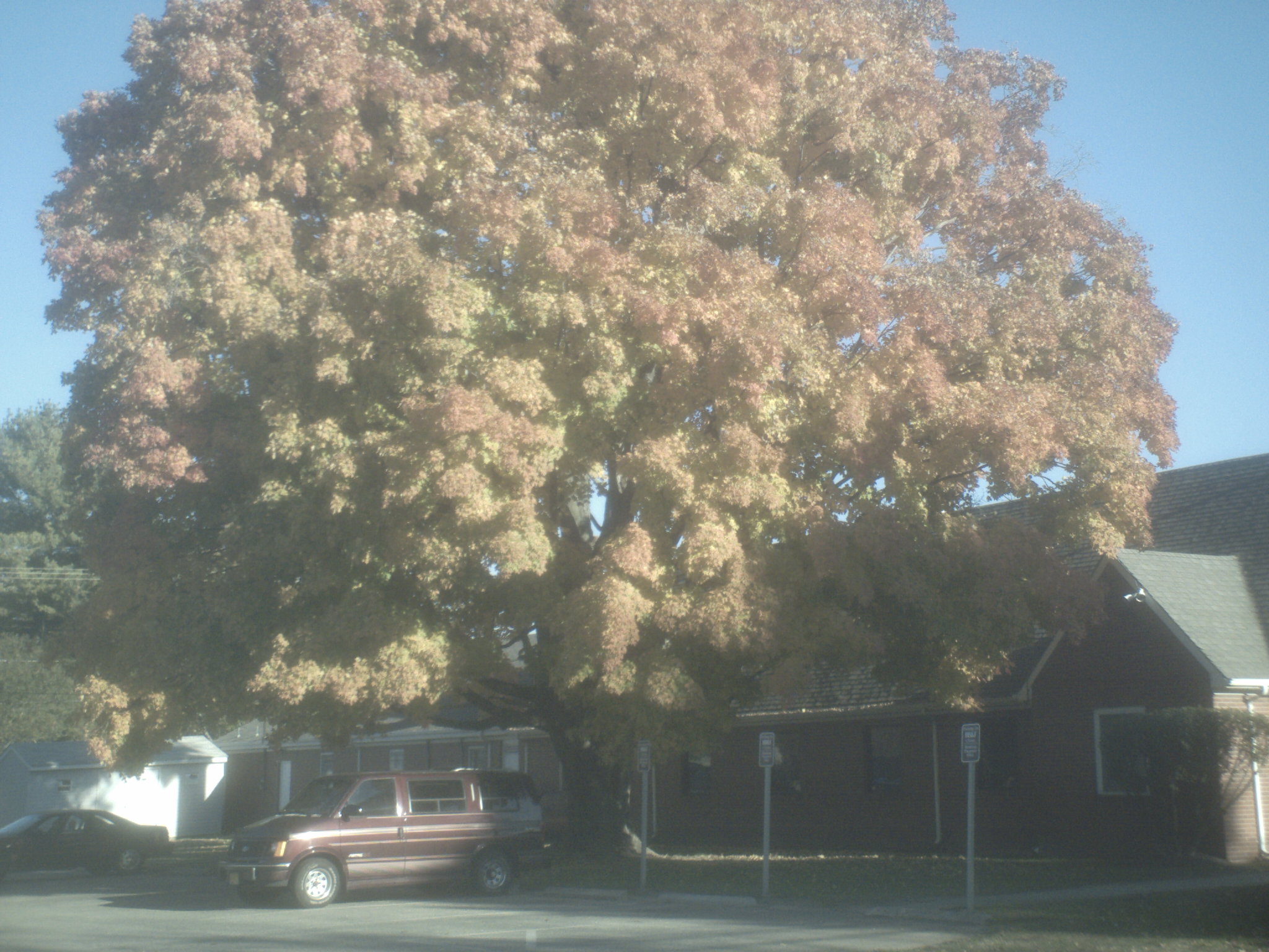 sunp1007.jpg